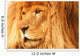 A Lion Wall Mural