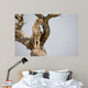 Cheetah Sitting Tree South Wall Mural