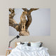 Cheetah Sitting Tree South Wall Mural