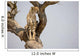 Cheetah Sitting Tree South Wall Mural