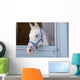 White Horse Wall Mural