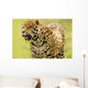 A Leopard Wall Mural