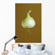 A Yellow Onion Wall Mural