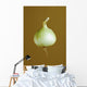 A Yellow Onion Wall Mural