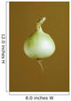 A Yellow Onion Wall Mural