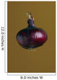 A Purple Onion Wall Mural