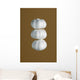 Garlic Wall Mural