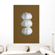 Garlic Wall Mural