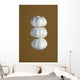 Garlic Wall Mural