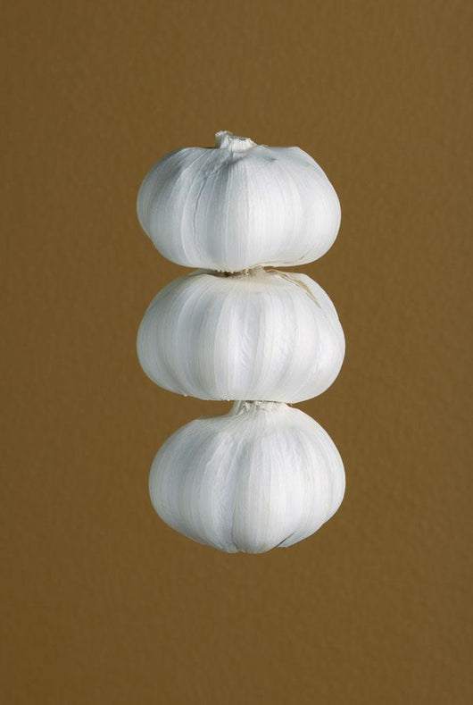 Garlic Wall Mural