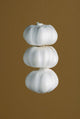 Garlic Wall Mural