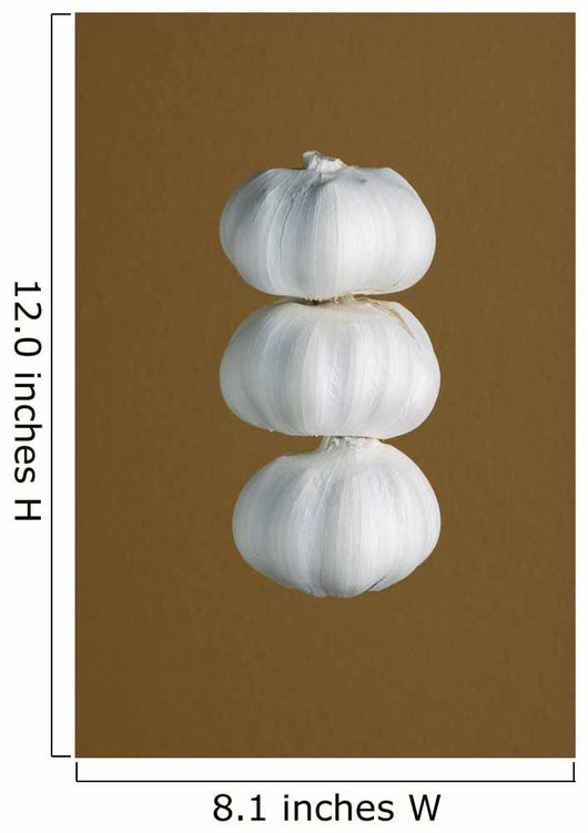 Garlic Wall Mural