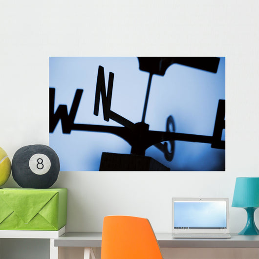 The Wind's Direction Wall Mural