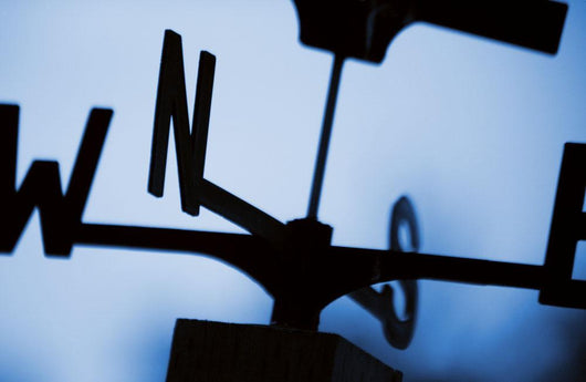 The Wind's Direction Wall Mural