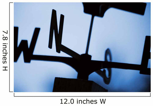 The Wind's Direction Wall Mural