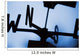 The Wind's Direction Wall Mural