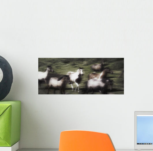 Wild Horses On The Move Wall Mural