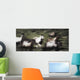Wild Horses On The Move Wall Mural