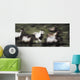 Wild Horses On The Move Wall Mural
