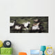Wild Horses On The Move Wall Mural
