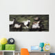 Wild Horses On The Move Wall Mural