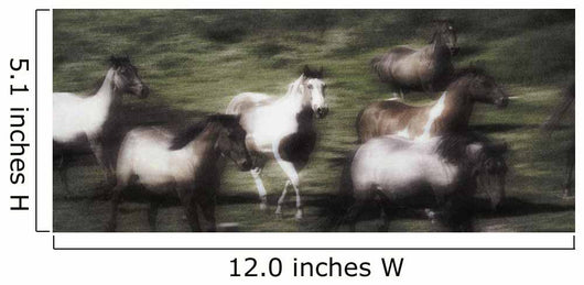 Wild Horses On The Move Wall Mural