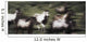 Wild Horses On The Move Wall Mural