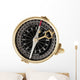 Compass Wall Decal