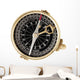 Compass Wall Decal
