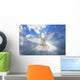 A Dove In The Sky Wall Mural