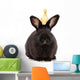 Black Rabbit with Duckling Wall Decal