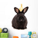 Black Rabbit with Duckling Wall Decal