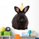 Black Rabbit with Duckling Wall Decal