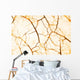 Cracked Surface Wall Mural
