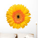 yellow daisy Wall Decal