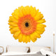 yellow daisy Wall Decal