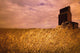 Grain Elevator And Crop Wall Mural