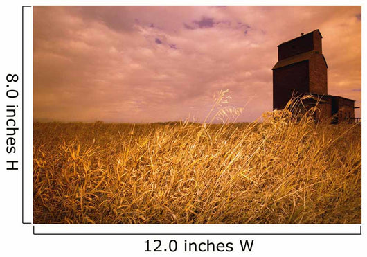 Grain Elevator And Crop Wall Mural