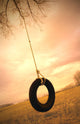 A Tire Swing Wall Mural