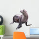 Seal Sea Lion Wall Decal
