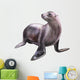 Seal Sea Lion Wall Decal