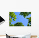 The Sky Through Trees Wall Mural