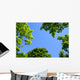 The Sky Through Trees Wall Mural