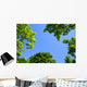 The Sky Through Trees Wall Mural