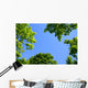 The Sky Through Trees Wall Mural