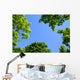 The Sky Through Trees Wall Mural