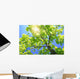 A Tall Tree Wall Mural