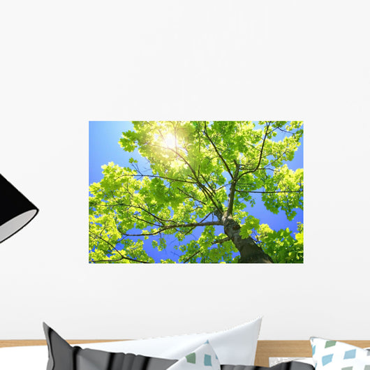 A Tall Tree Wall Mural