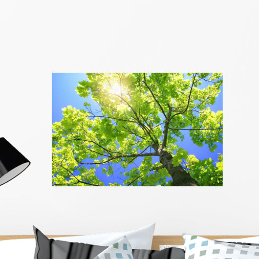 A Tall Tree Wall Mural