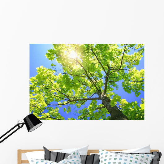 A Tall Tree Wall Mural